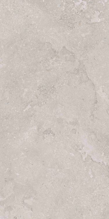 OL Port Land Stone Greige Matte 24 x 48